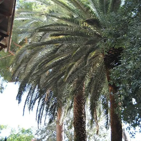 Guest house Fiocchi