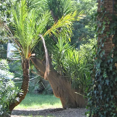 Fiocchi Caltanissetta
