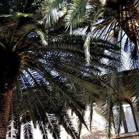 Guest house Fiocchi